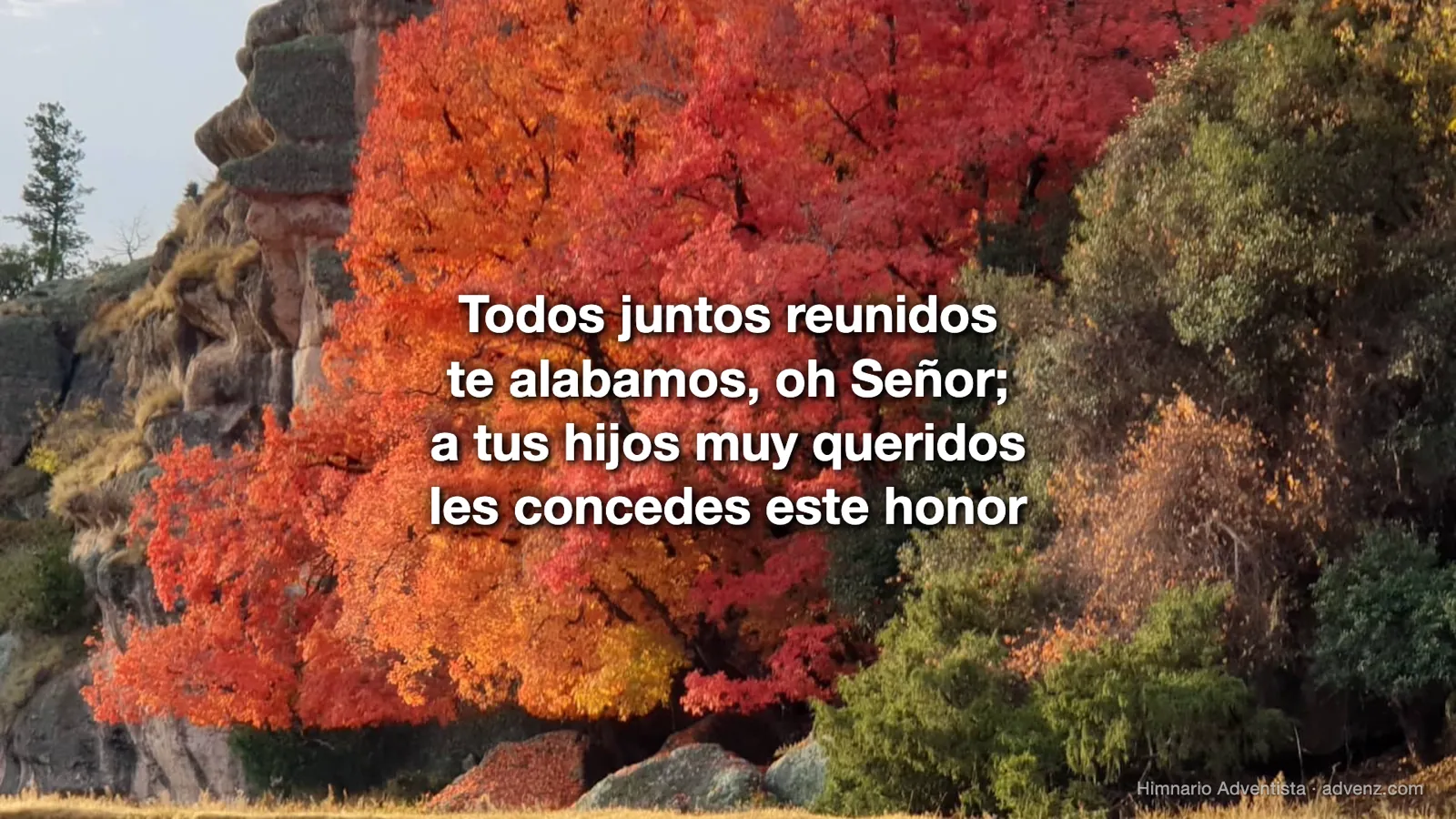 Lo que ve la congregación en el proyector: la letra del himno sobre un fondo.