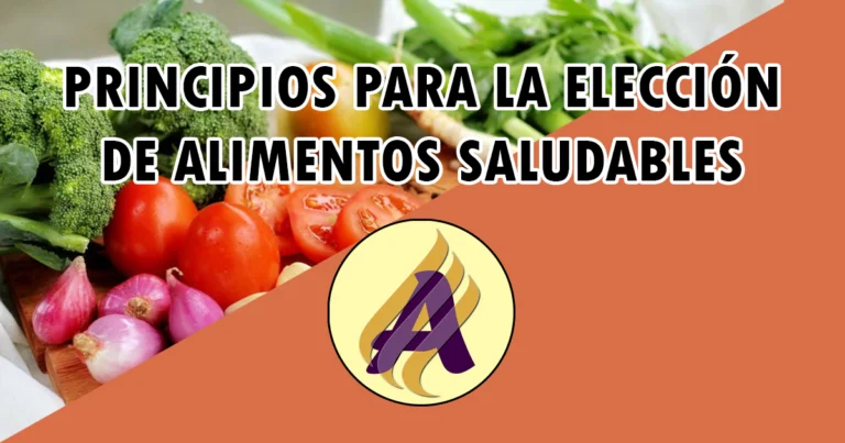 Principios para la elección de alimentos saludables