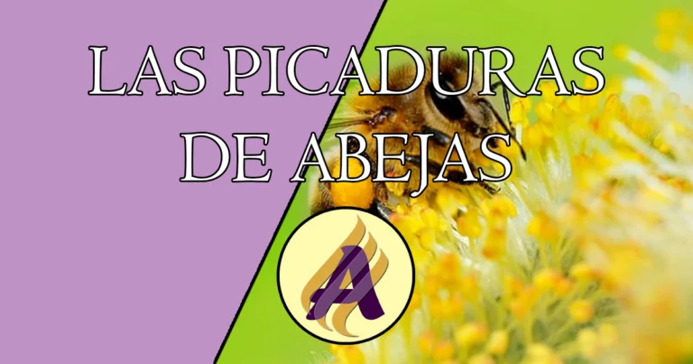 Las picaduras de abejas