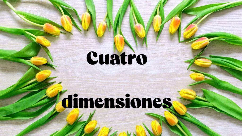 Cuatro dimensiones