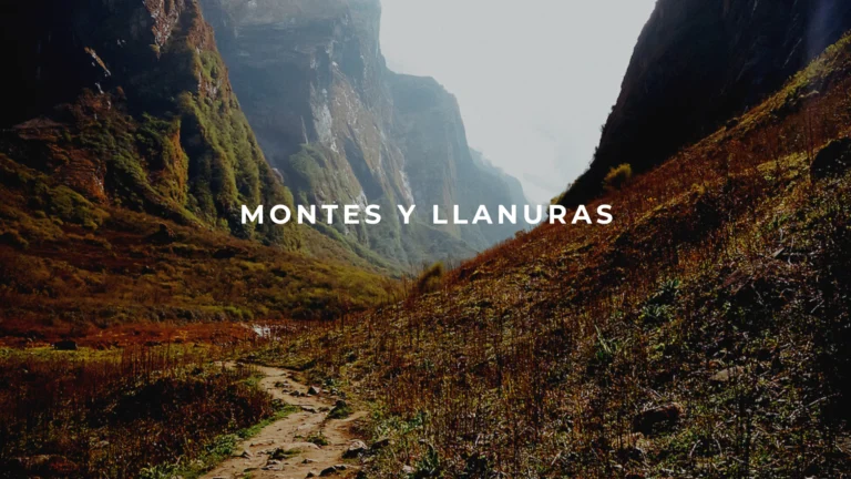 MONTES Y LLANURAS