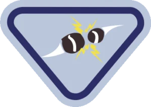 Insignia de la especialidad Diversión con imanes II