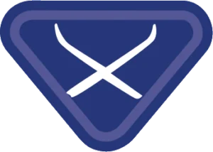 Insignia de la especialidad Esquiador