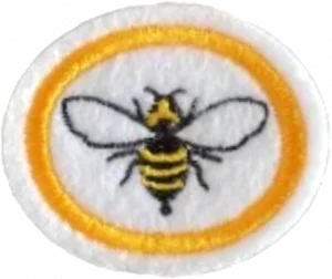 Insignia de la especialidad Abejas y avispas