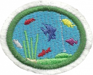 Insignia de la especialidad Acuarios