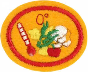 Insignia de la especialidad Alimentos congelados