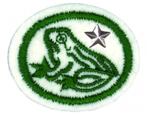 Insignia de la especialidad Anfibios – Avanzado