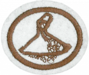 Insignia de la especialidad Arena