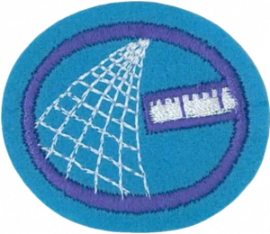 Insignia de la especialidad Arte en hilo