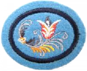 Insignia de la especialidad Artesanía