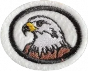 Insignia de la especialidad Aves de rapiña (División Sudamericana)