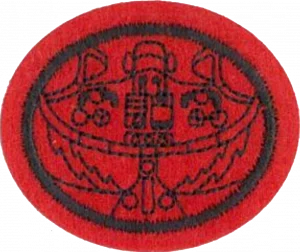 Insignia de la especialidad Aviadores