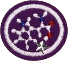 Insignia de la especialidad Bioquímica – Avanzado