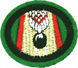 Insignia de la especialidad Boliche