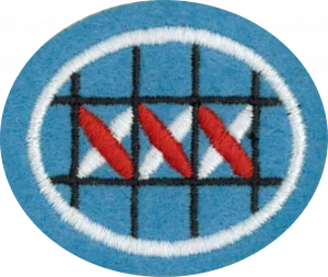 Insignia de la especialidad Bordado en punto cruz