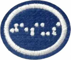 Insignia de la especialidad Braille (División Sudamericana)