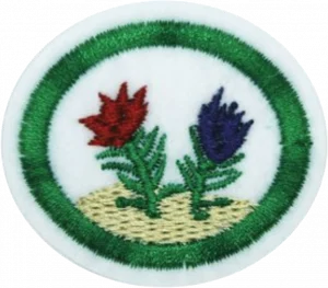 Insignia de la especialidad Briófitas