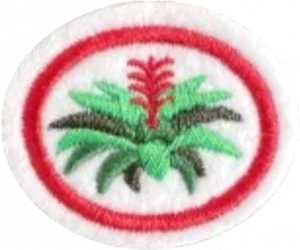 Insignia de la especialidad Bromelias