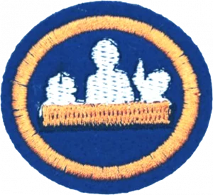 Insignia de la especialidad Buena conducta escolar