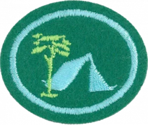 Insignia de la especialidad Campamento I