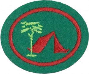 Insignia de la especialidad Campamento II
