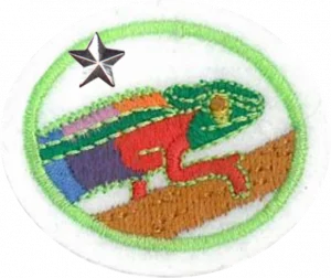 Insignia de la especialidad Camuflaje animal – Avanzado