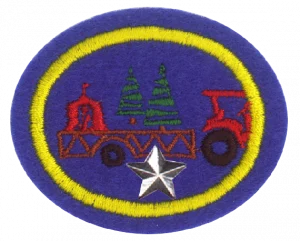 Insignia de la especialidad Carrozas de desfile – Avanzado