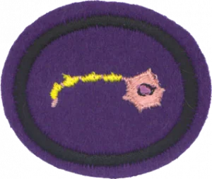 Insignia de la especialidad Cerebro y conducta