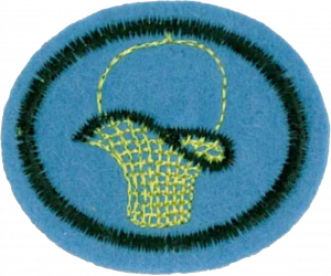 Insignia de la especialidad Cestería