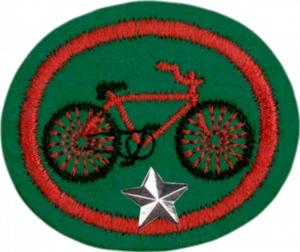 Insignia de la especialidad Ciclismo 2