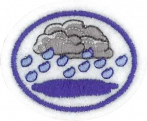 Insignia de la especialidad Ciencia de agua