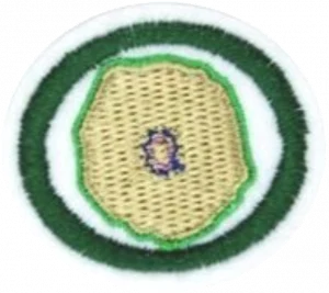 Insignia de la especialidad Citología