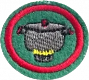 Insignia de la especialidad Cocina segura