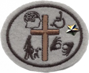 Insignia de la especialidad Conciencia de los discapacitados – Avanzado