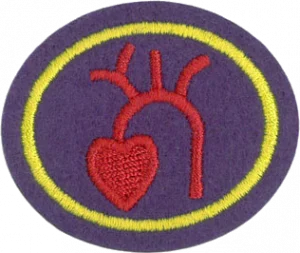Insignia de la especialidad Corazón y circulación