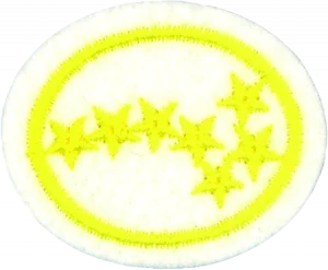 Insignia de la especialidad Cosmografía 1