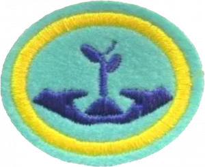 Insignia de la especialidad Crecer en Cristo