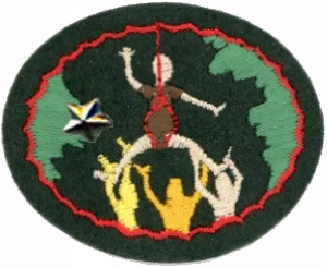 Insignia de la especialidad Cuerdas altas – Avanzado