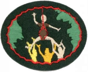 Insignia de la especialidad Cuerdas altas