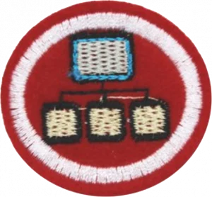 Insignia de la especialidad Desarrollo de software