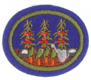 Insignia de la especialidad Desarrollo rural