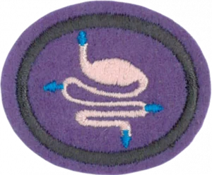 Insignia de la especialidad Digestión