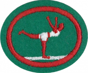 Insignia de la especialidad Aptitud Física