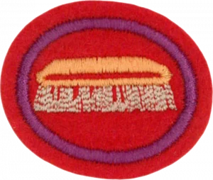 Insignia de la especialidad Empapelado