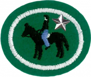 Insignia de la especialidad Equitación – Avanzado