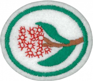 Insignia de la especialidad Eucaliptos