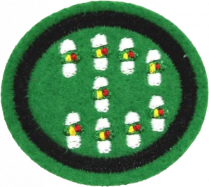 Insignia de la especialidad Evolución en orden cerrado