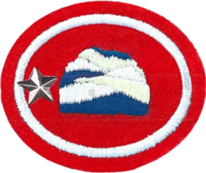 Insignia de la especialidad Fabricación de jabón – Avanzado