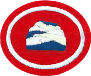 Insignia de la especialidad Fabricación de jabón