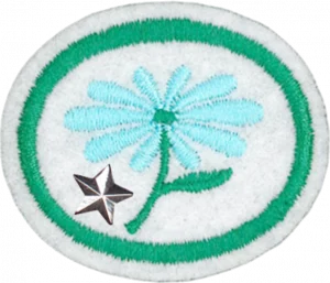Insignia de la especialidad Flores – Avanzado